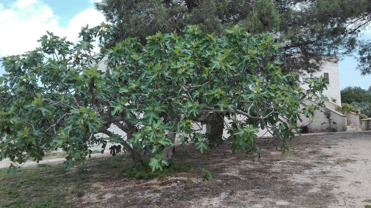Masseria Le Betulle San Vito dei Normanni Zewnętrze zdjęcie